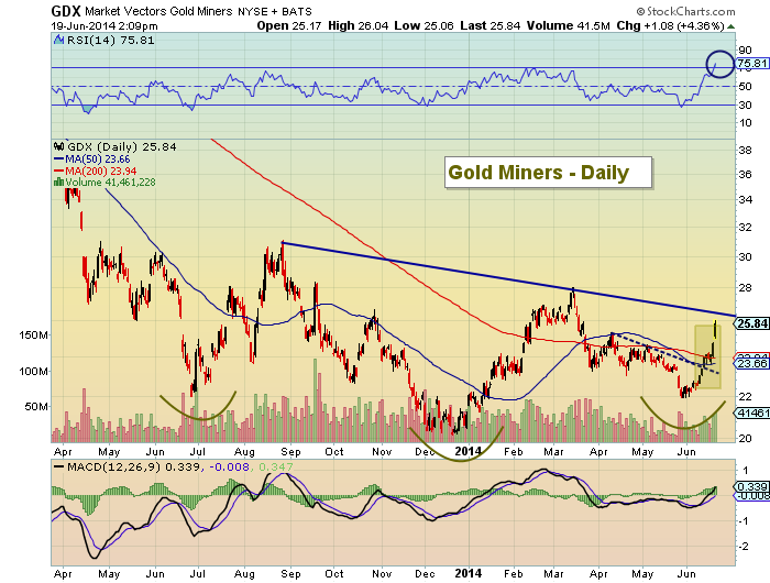 GDX Daily Chart