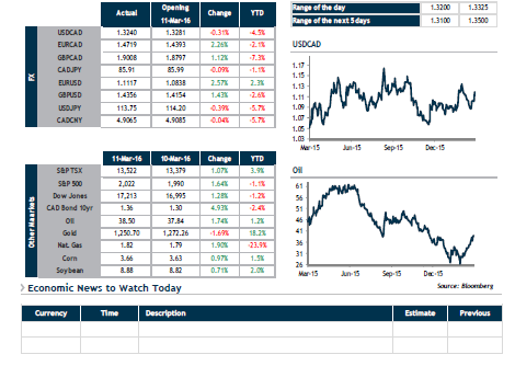 FX Daily Update  