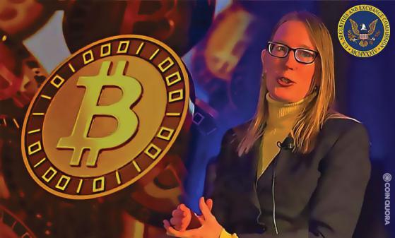 Hester Peirce: Government Will Have a Hard Time Banning BTC