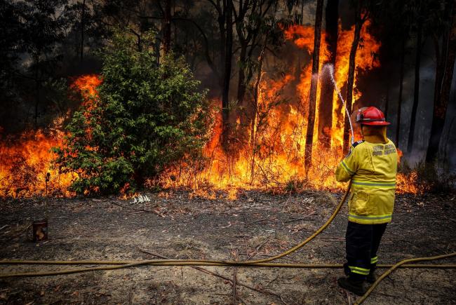 © Bloomberg. An NSW Rural Fire Service volunteer douses a fire during back-burning operations in bushland in New South Wales, Australia in 2019.