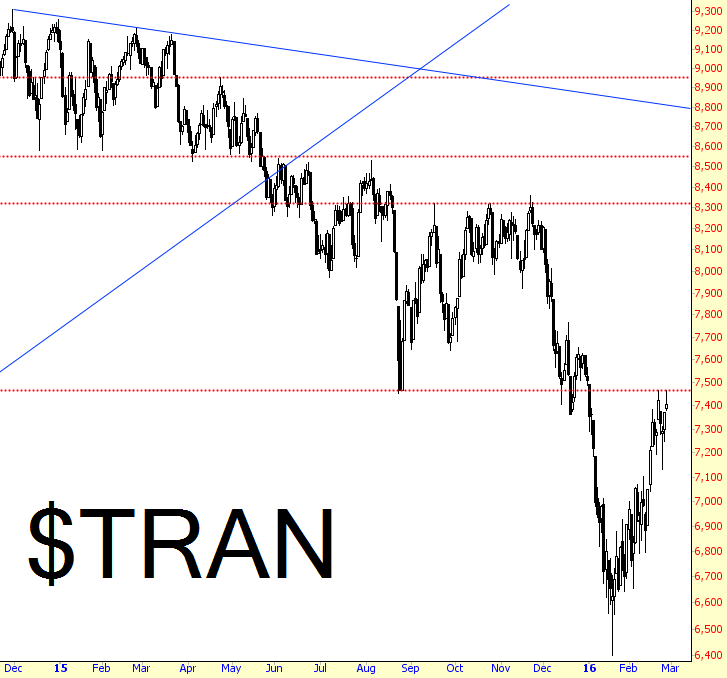 TRAN Chart