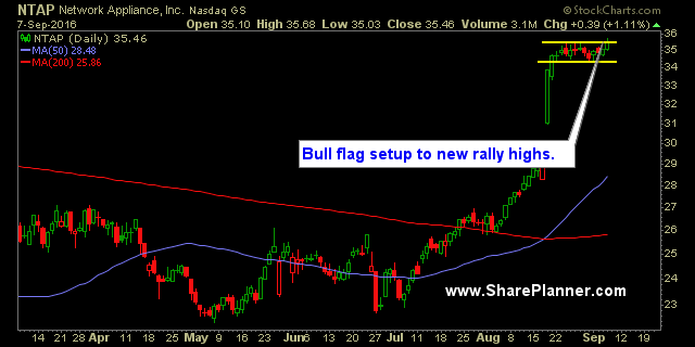 NTAP Daily Chart