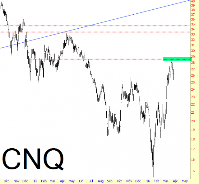 CNQ Chart