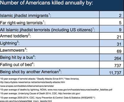 Number Of Americans Killed Annually