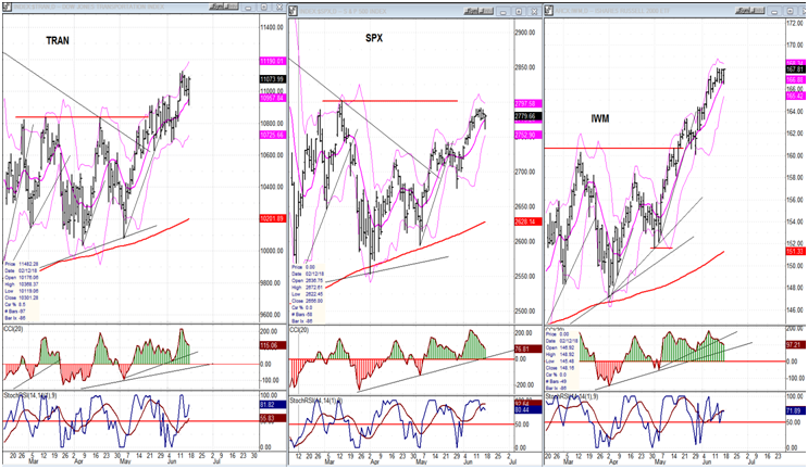 SPX vs TRAN, IWM(daily charts)