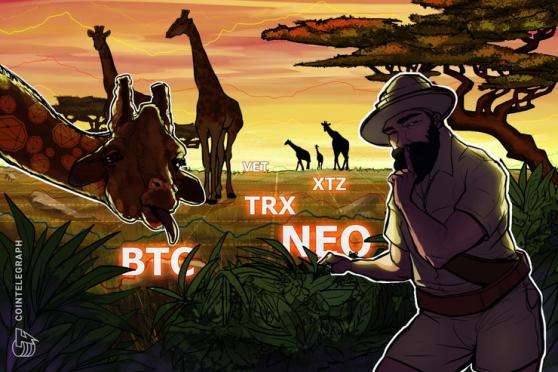 Top 5 Cryptocurrencies to Watch This Week: BTC, NEO, TRX, XTZ, VET