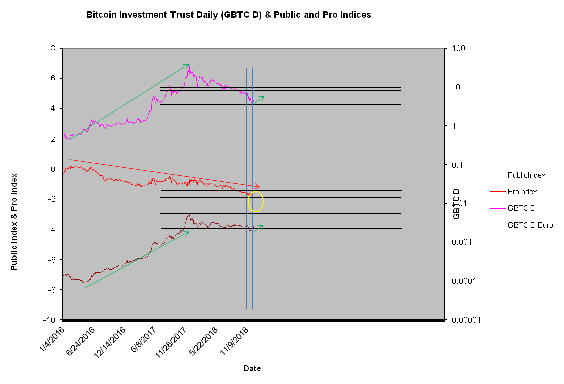 Bitcoin Investment Trust Daily Chart