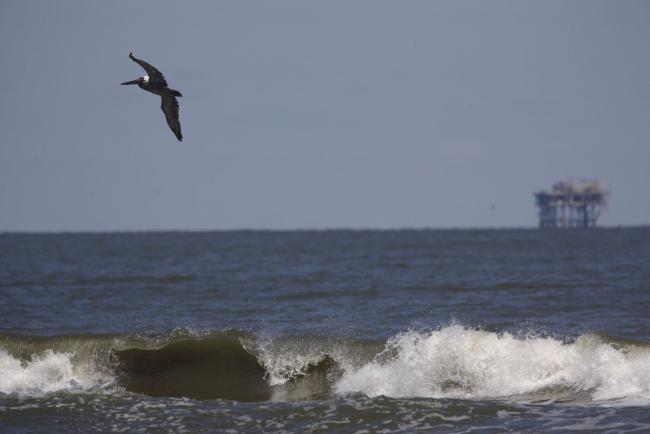 © Bloomberg. A pelican flies over the Gulf of Mexico near offshore platforms off the coast of Grand Isle, Louisiana, U.S., on Thursday, June 11, 2020.  Photographer: Luke Sharrett/Bloomberg