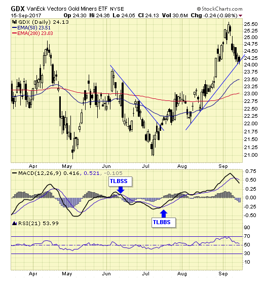 GDX Daily Chart