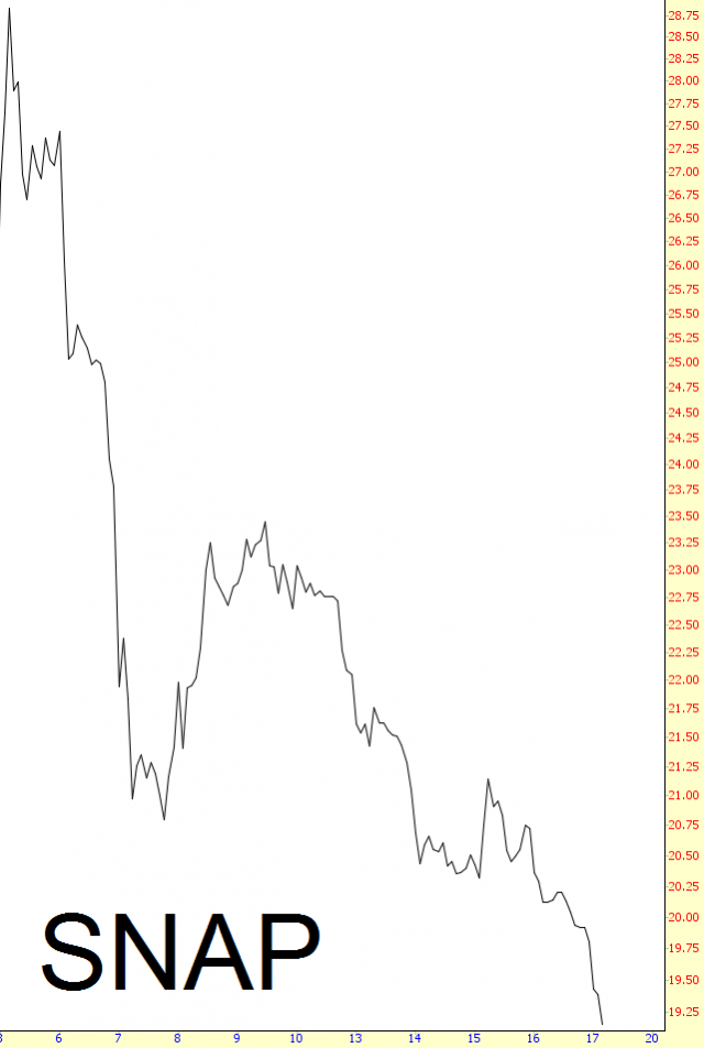 SNAP Chart