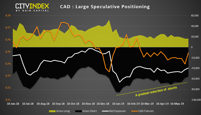 CAD Large Speculative Positioning