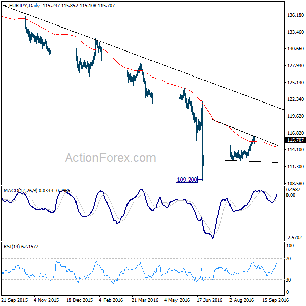 EUR/JPY Daily Chart