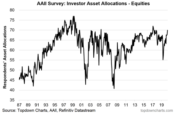 Investor Asset Allocation - Equities