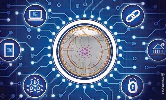 Will Cardano Reach 1000 Usd : Cardano Price Prediction 2021 2025 Will Ada Ever Reach 10 - While the platform's primary goal is to use ada crypto, the blockchain can reach a new level, and its.