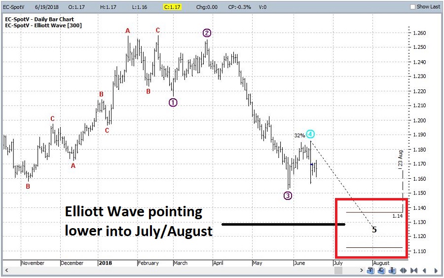 Daily Euro With Elliott Wave