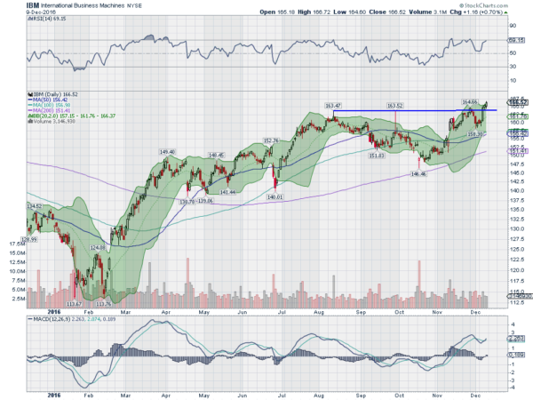 IBM Daily Chart