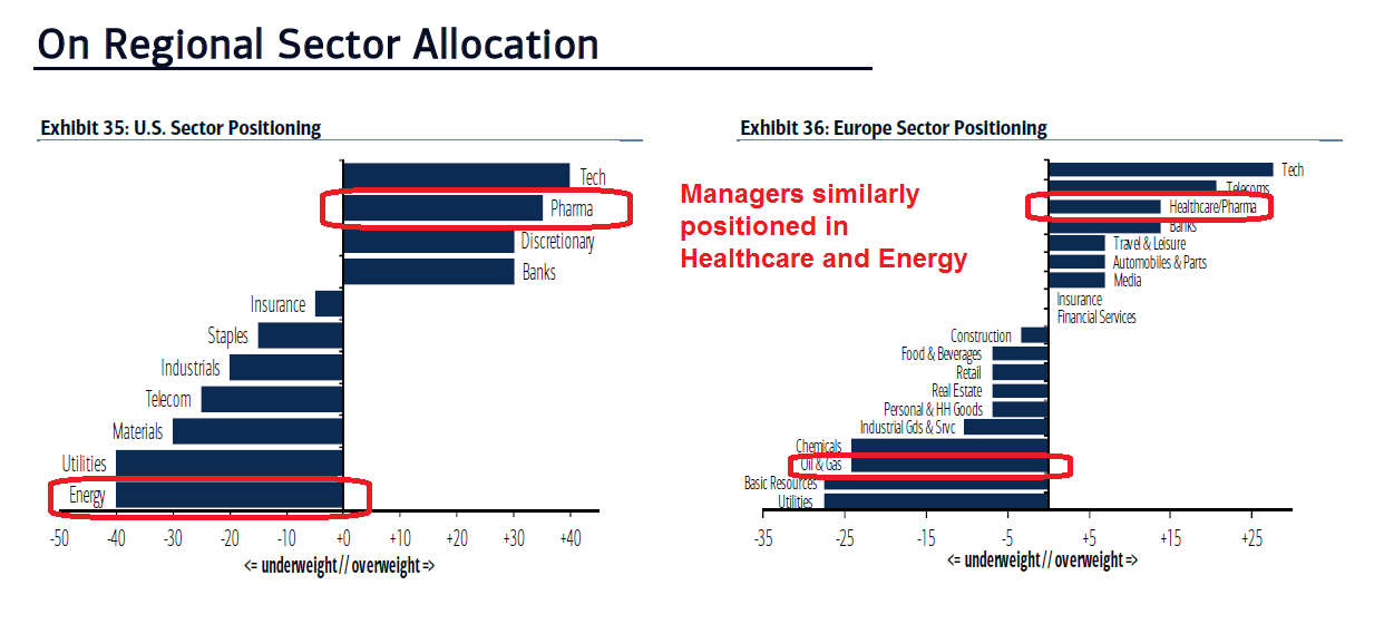 Fund Manager Regional Sector Allocation