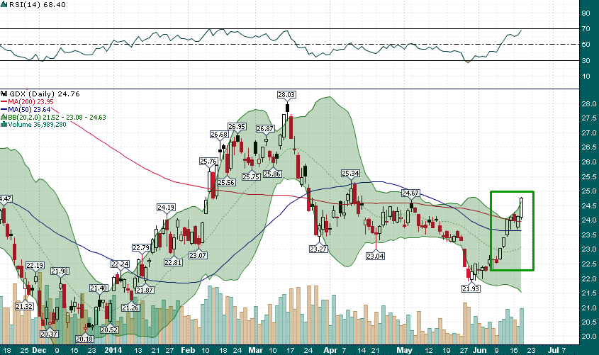 Market Vectors Gold Miners