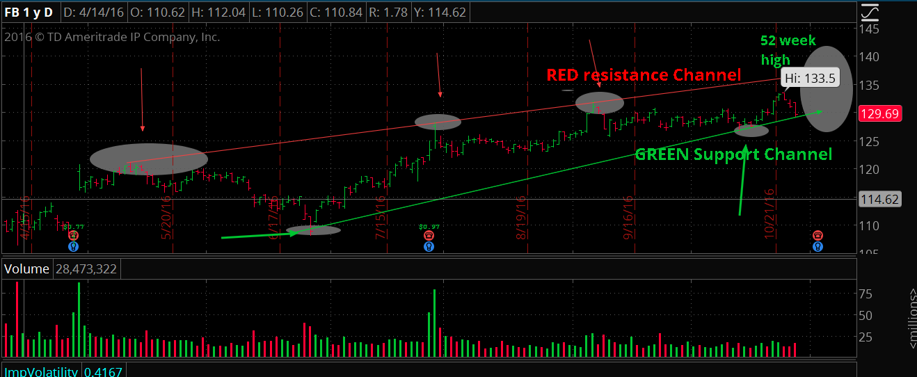 FB 1 Year Daily Chart