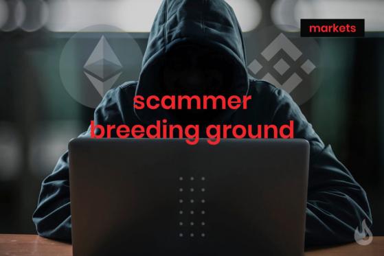 How the Meerkat, Furucombo, IYF & PAID Token ‘Hacks’ Work