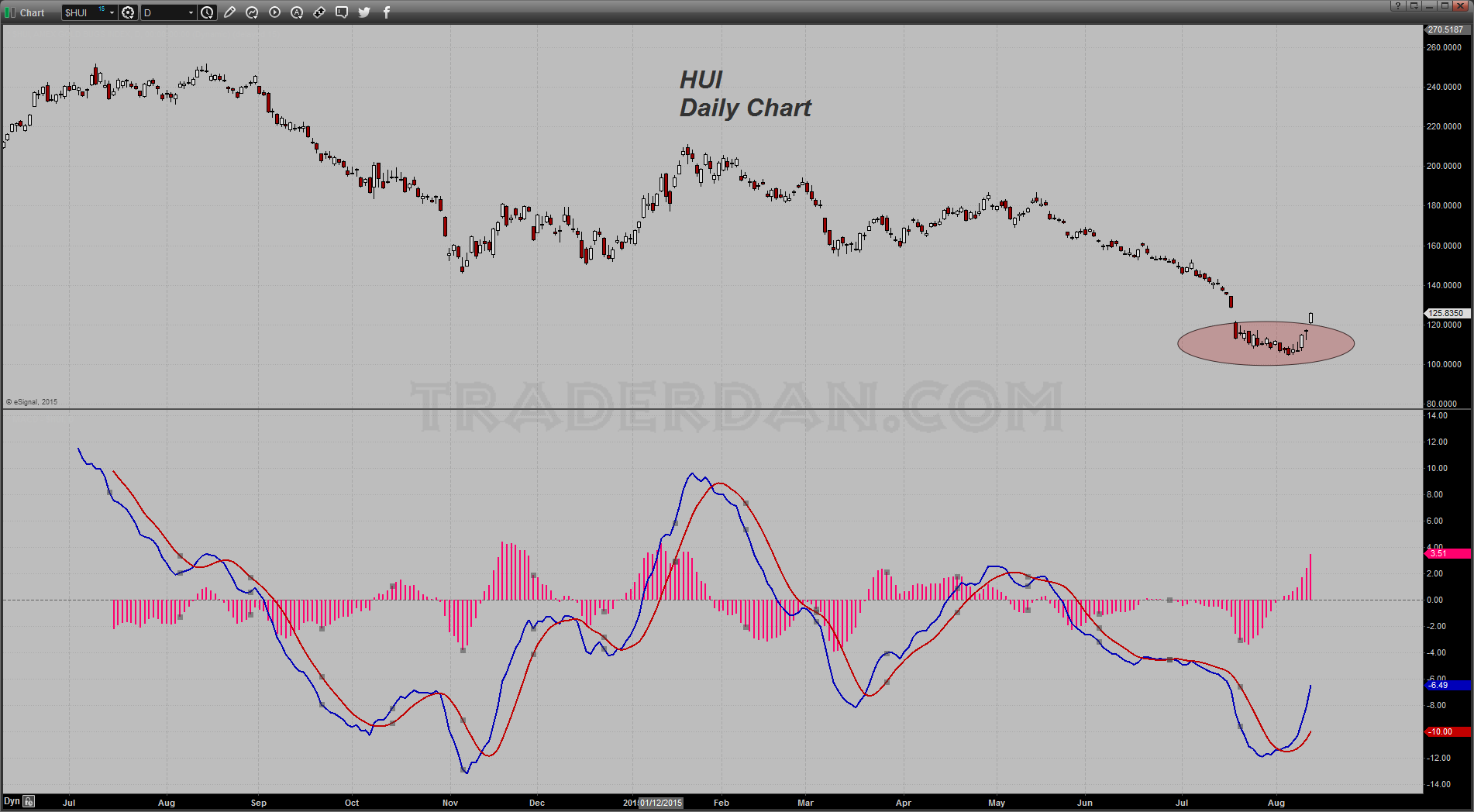 HUI Daily with MACD