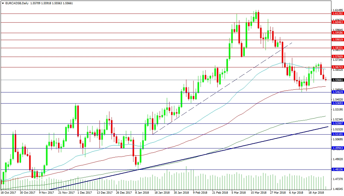 EUR/CAD Daily Chart