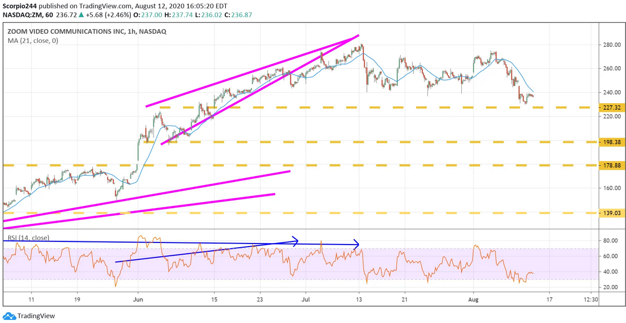 Zoom Video Hourly Chart