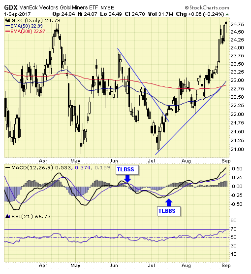 GDX Daily Chart