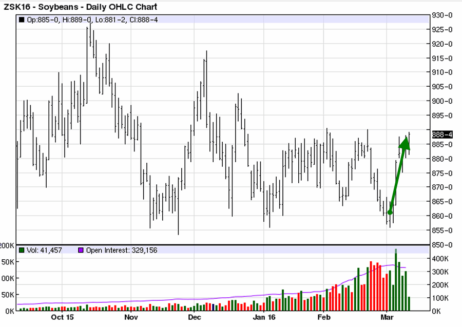 Soybeans Daily Chart