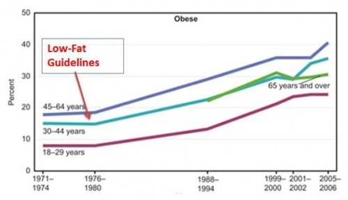 Obesity Rates