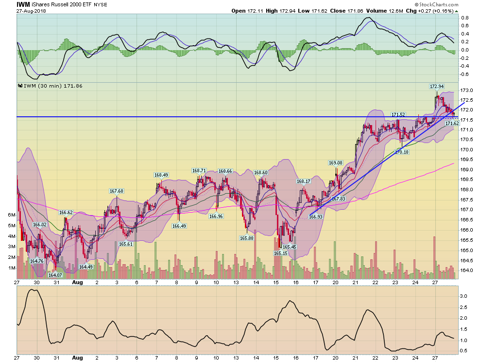 30-Minute IWM