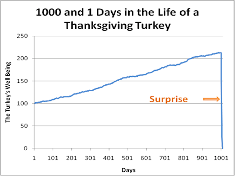 1000 And 1 Days In The Life Of A Thanksgiving Turkey