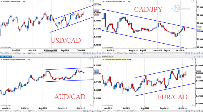 USD/CAD, CAD/JPY, AUD/CAD, EUR/CAD Daily Charts
