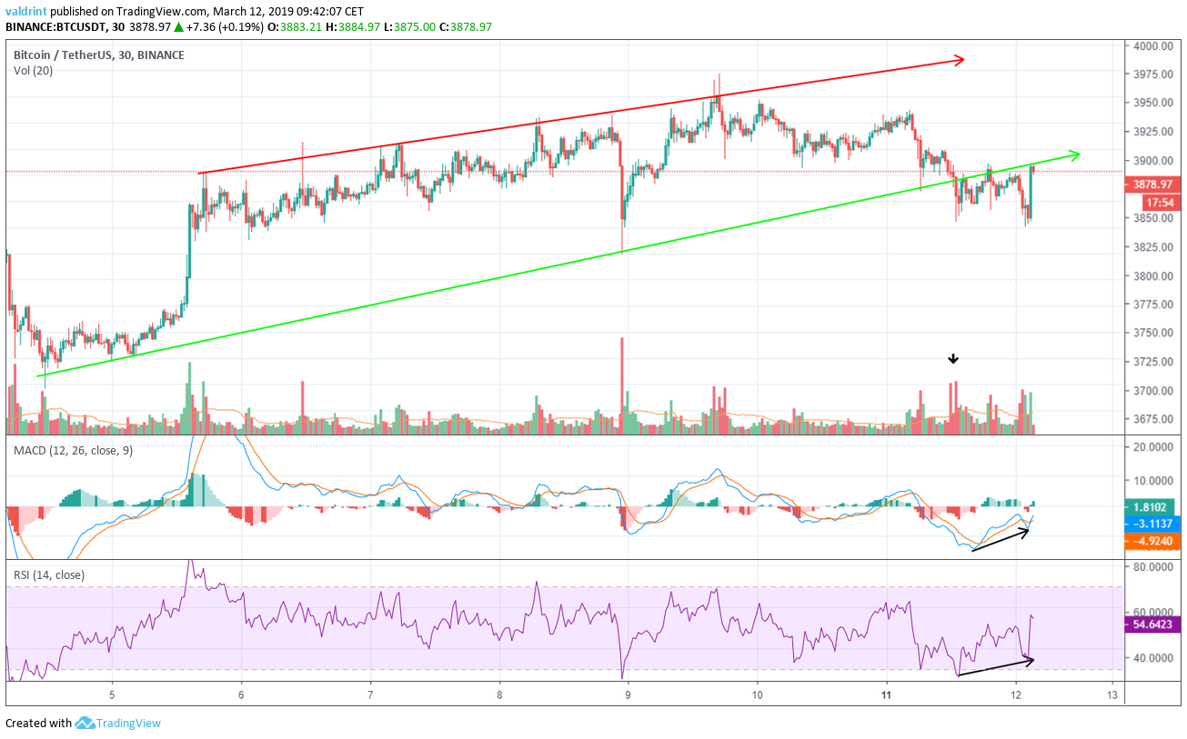 BTC MACD and RSI