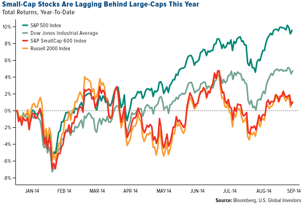 Small-Cap Stocks Are Lagging Behind Large-Caps This Year