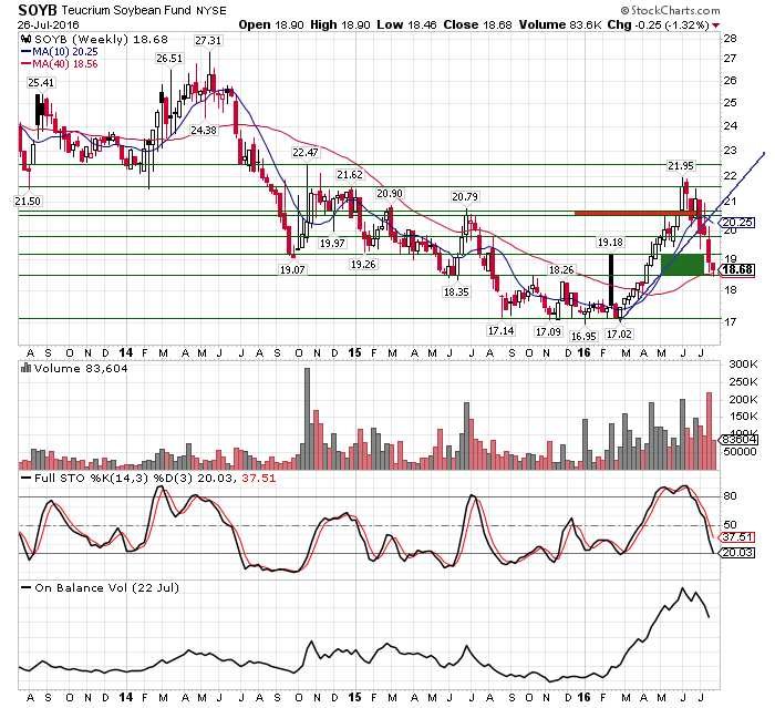 SOYB Weekly