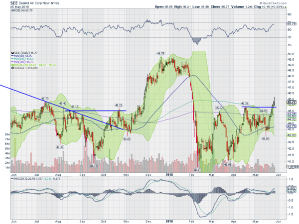 SEE Daily Chart