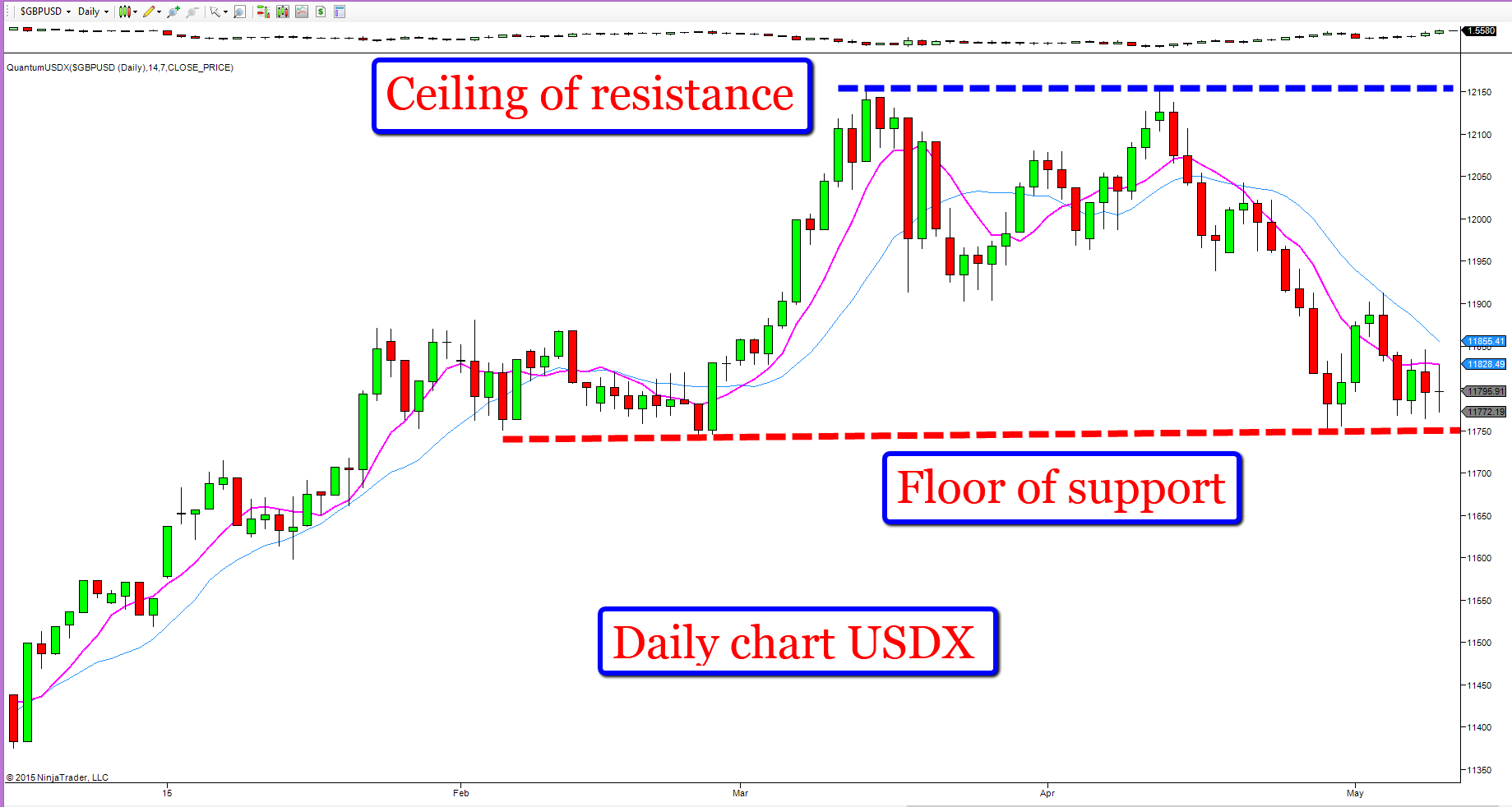 USD Daily Chart