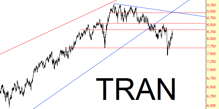 TRAN Chart