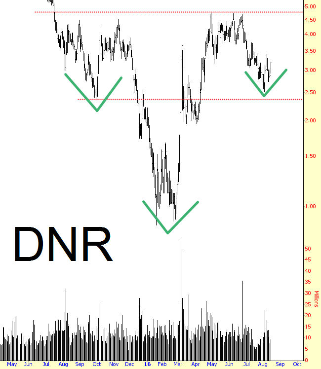 DNR Stock