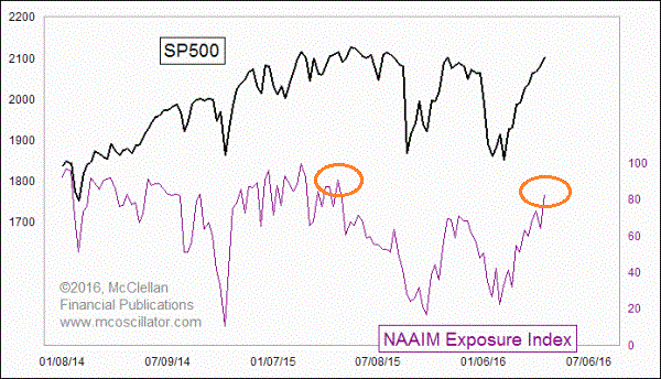 S&P 500: Contrarian Indicator