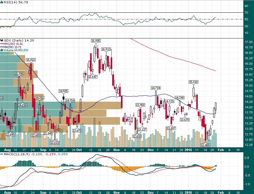 GDX Daily Chart