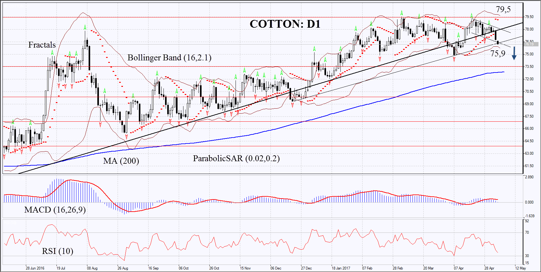 Cotton Daily Chart