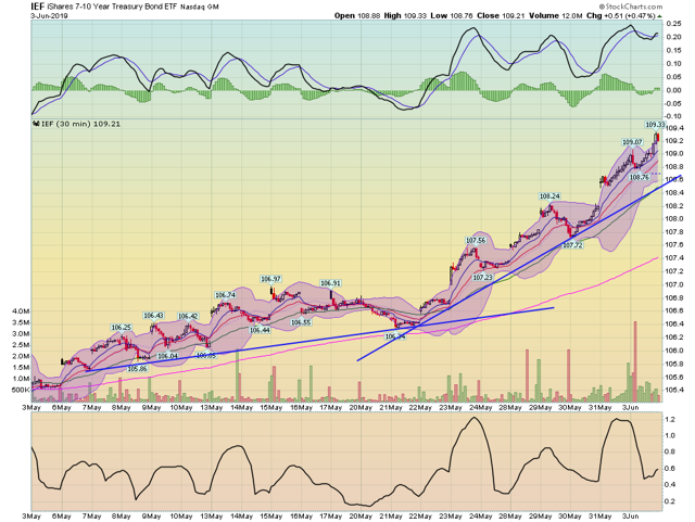 IEF 30 Minute