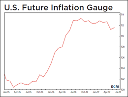 US Future Inflation Gauge