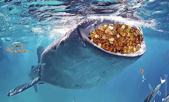 Whales Just Shifted $333M Worth of 7K Bitcoin (BTC)