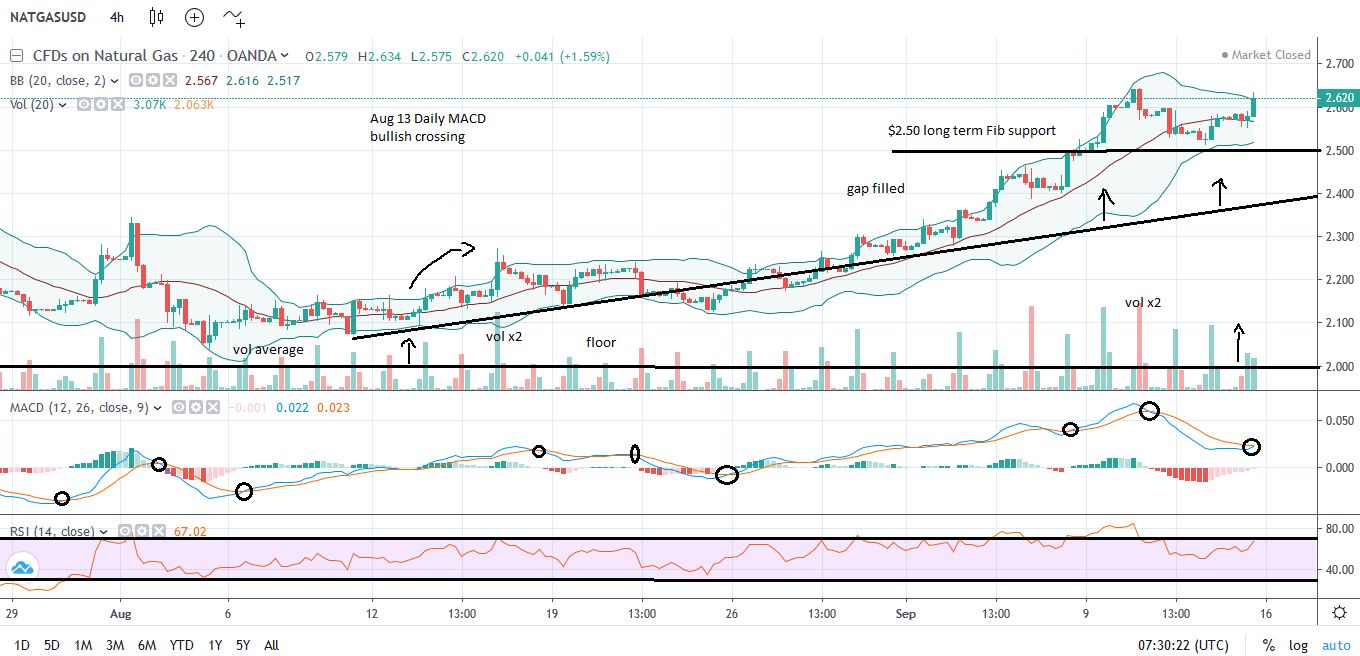 Nat Gas Chart