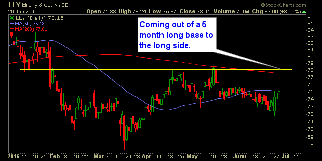 Eli Lilly Daily Chart