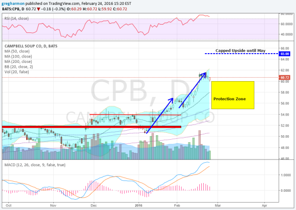 Campbell’s Soup Daily Chart