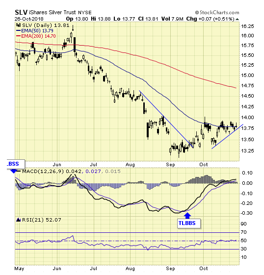 SLV Daily